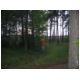 IMG_8143.JPG