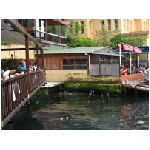 IMG_1826.JPG