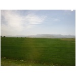 IMG_1839.JPG