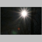 IMG_7575.JPG