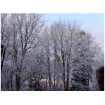 DSCF2940.JPG