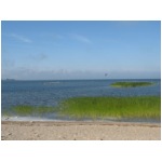 IMG_9289.JPG