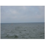 IMG_9315.JPG