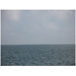 IMG_9320.JPG