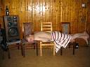 IMG_8950.JPG