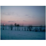02040008.JPG
