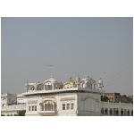 IMG_1335.JPG