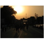 IMG_1393.JPG