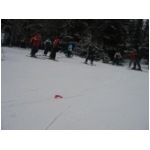 IMG_5111.jpg
