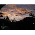 IMG_4400.jpg