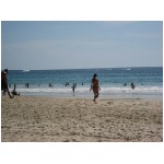 IMG_4425.jpg