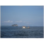 IMG_4441.jpg