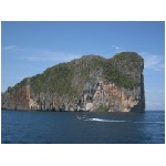 IMG_4447.jpg