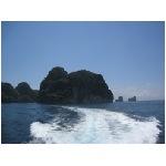 IMG_4486.jpg