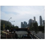 IMG_4648.jpg
