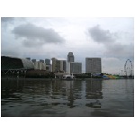 IMG_4691.jpg