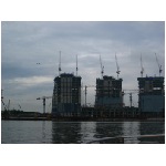 IMG_4692.jpg
