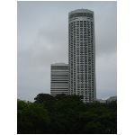IMG_4695.jpg